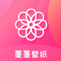 比SSR好用的软件