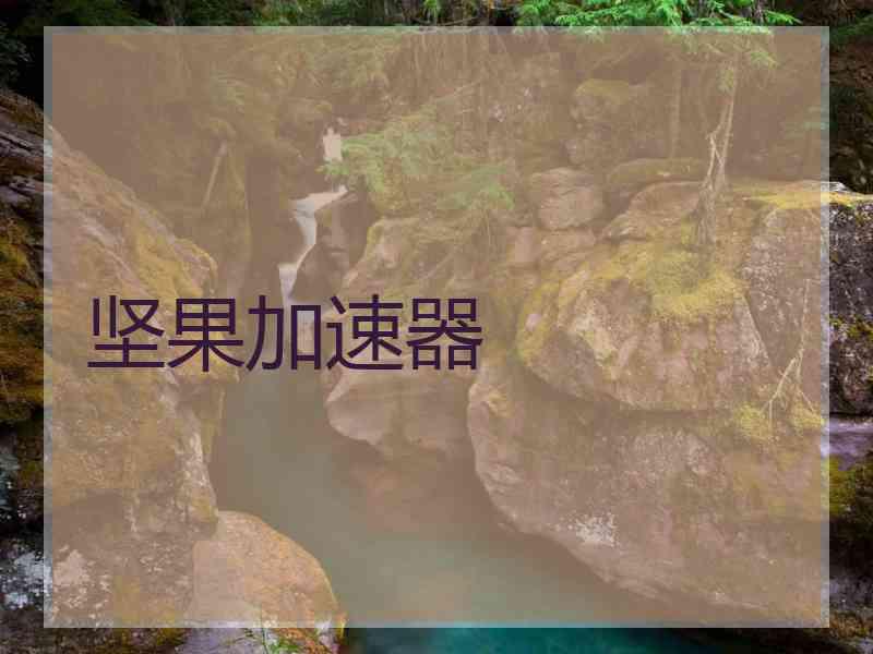 坚果加速器
