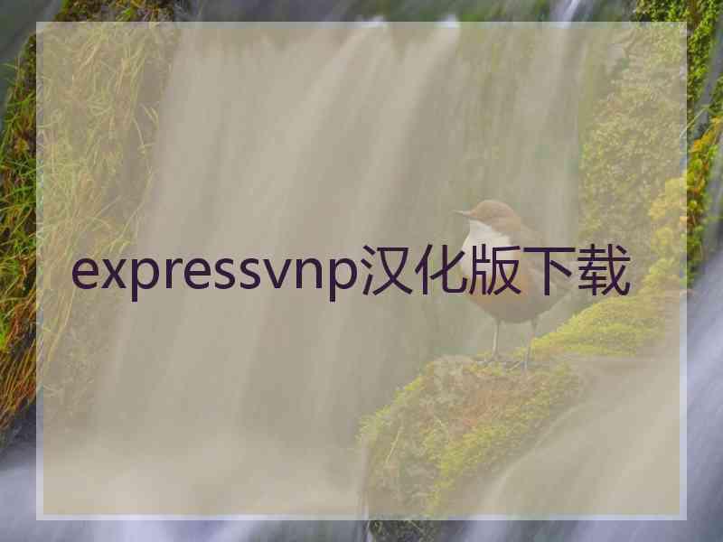 expressvnp汉化版下载
