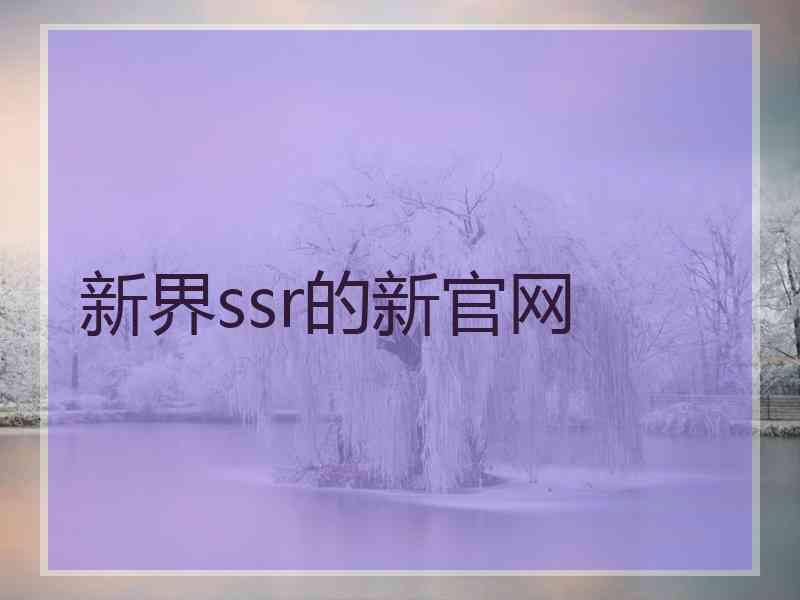 新界ssr的新官网