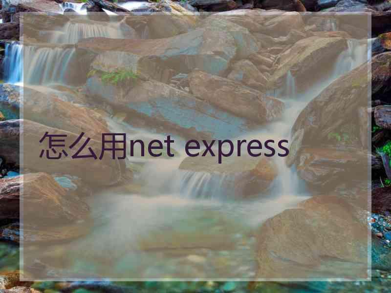 怎么用net express