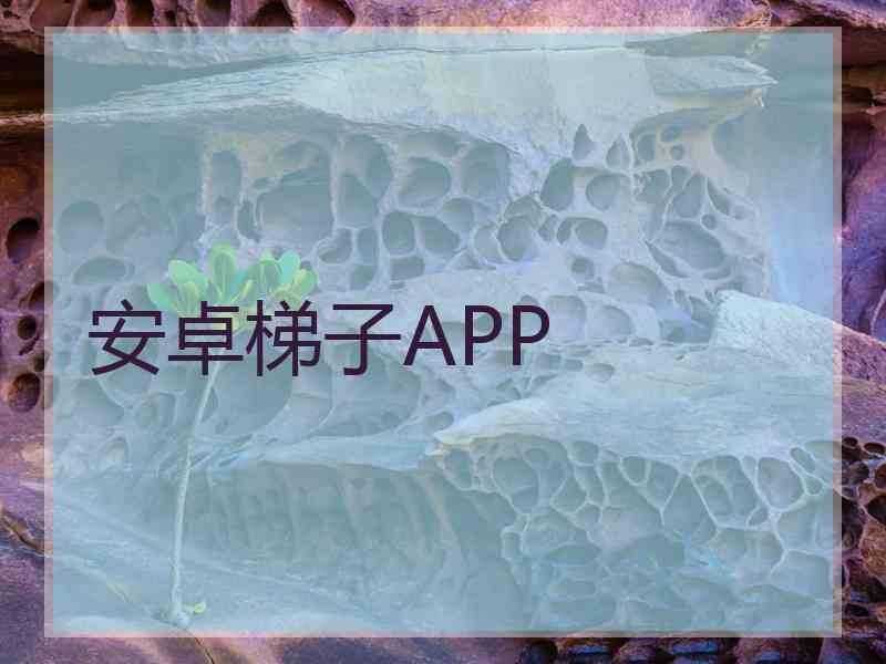 安卓梯子APP