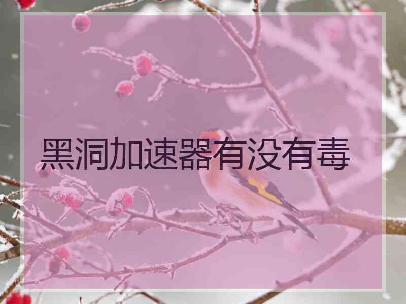 黑洞加速器有没有毒