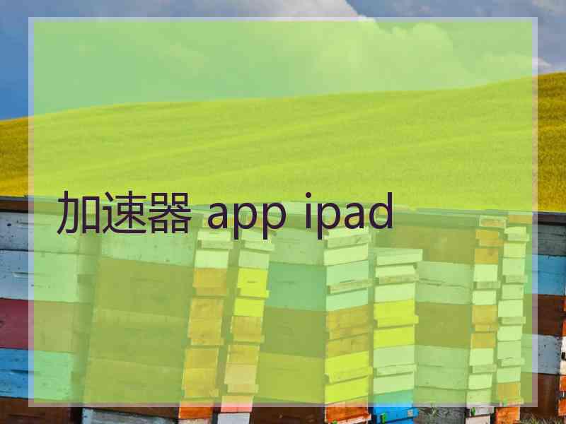 加速器 app ipad