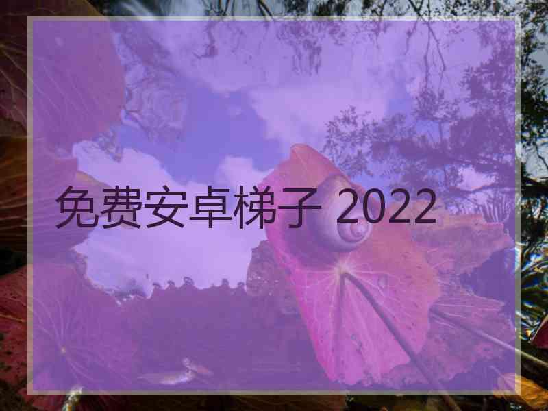 免费安卓梯子 2022