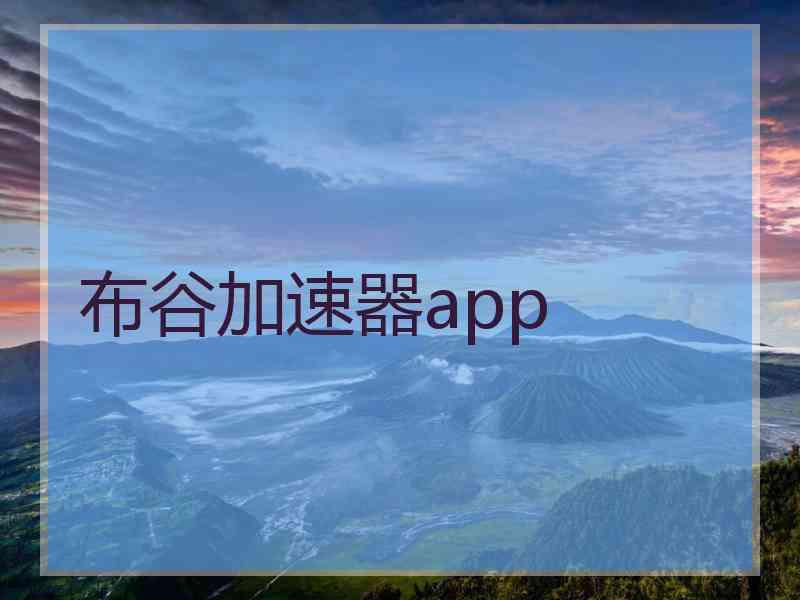 布谷加速器app