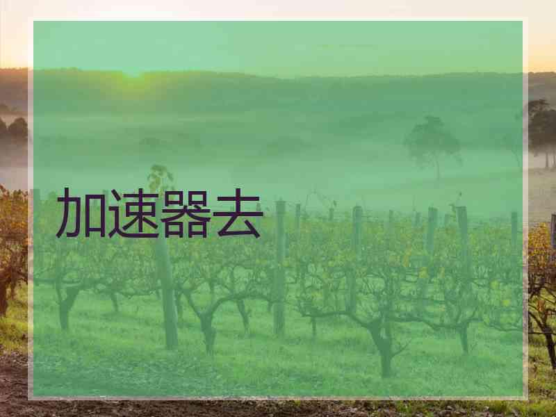 加速器去