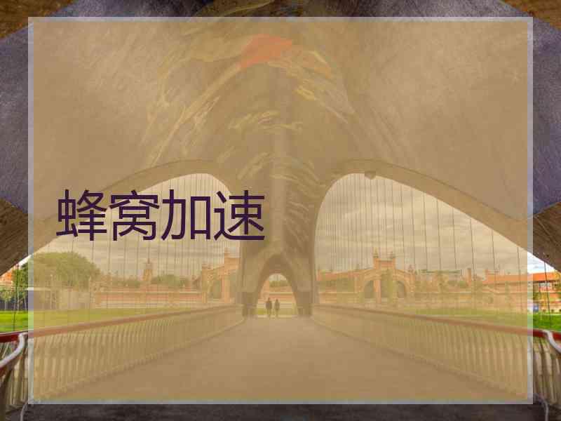蜂窝加速