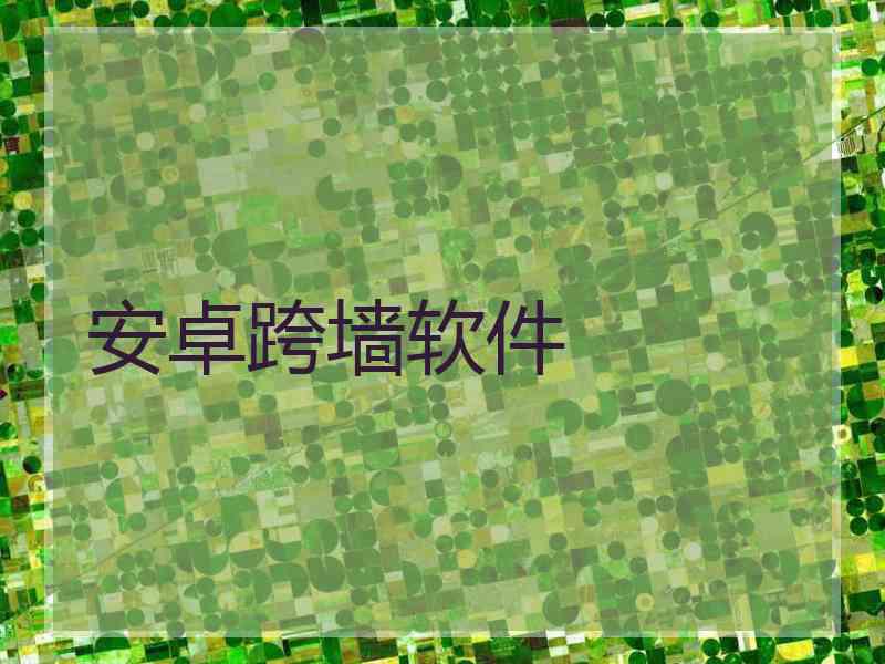 安卓跨墙软件