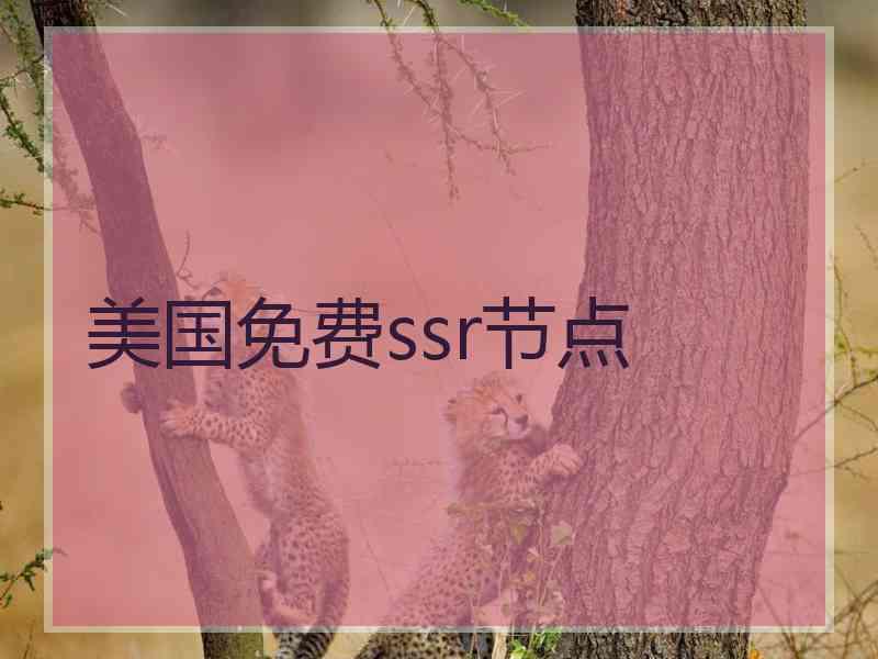 美国免费ssr节点