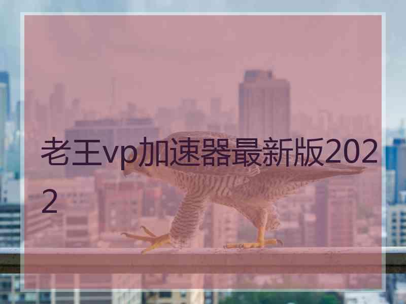 老王vp加速器最新版2022