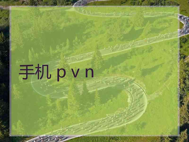 手机 p v n