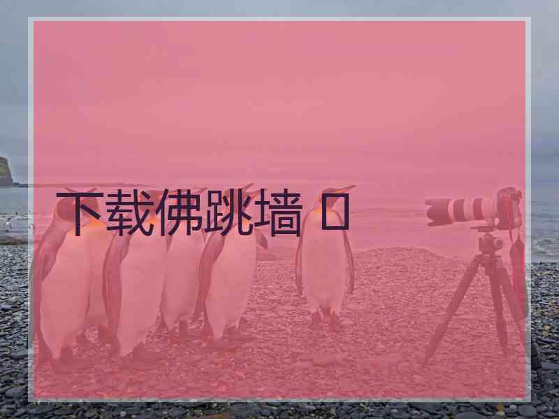 下载佛跳墙 	