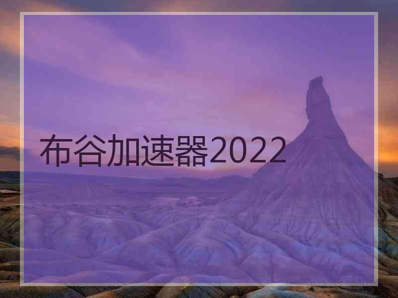 布谷加速器2022