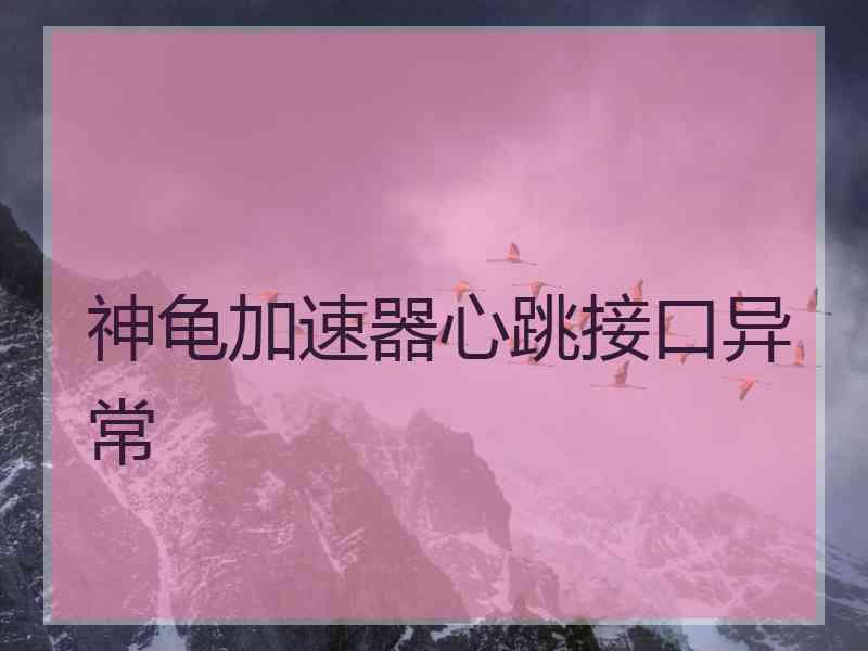 神龟加速器心跳接口异常
