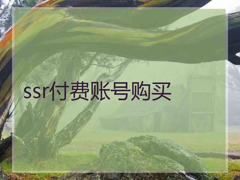 ssr付费账号购买