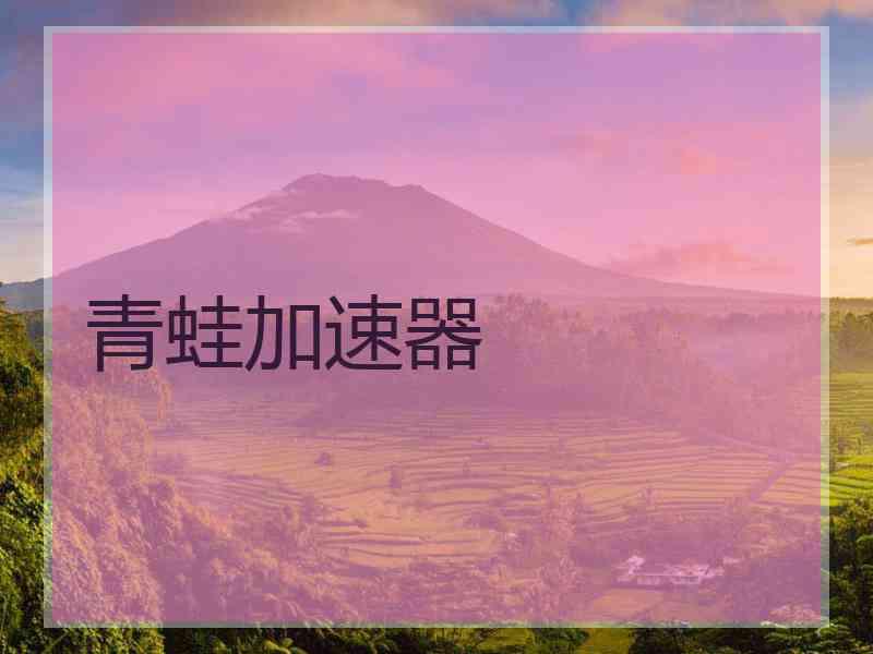 青蛙加速器