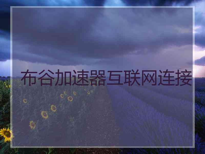 布谷加速器互联网连接