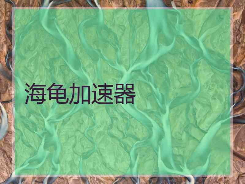 海龟加速器