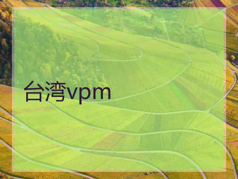 台湾vpm