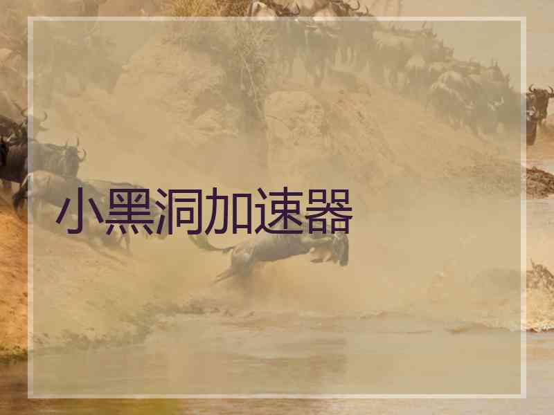 小黑洞加速器