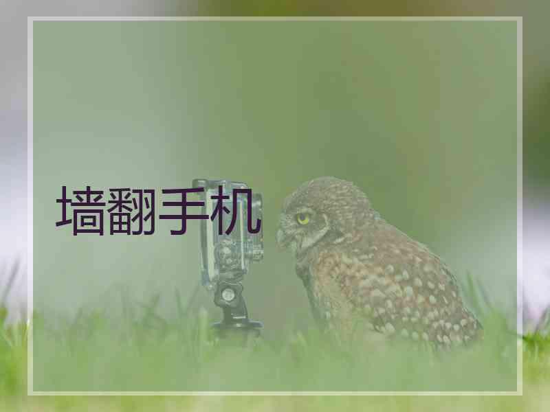 墙翻手机