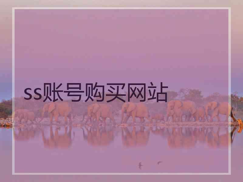 ss账号购买网站
