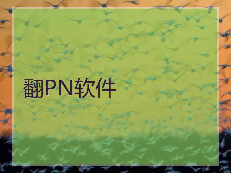 翻PN软件