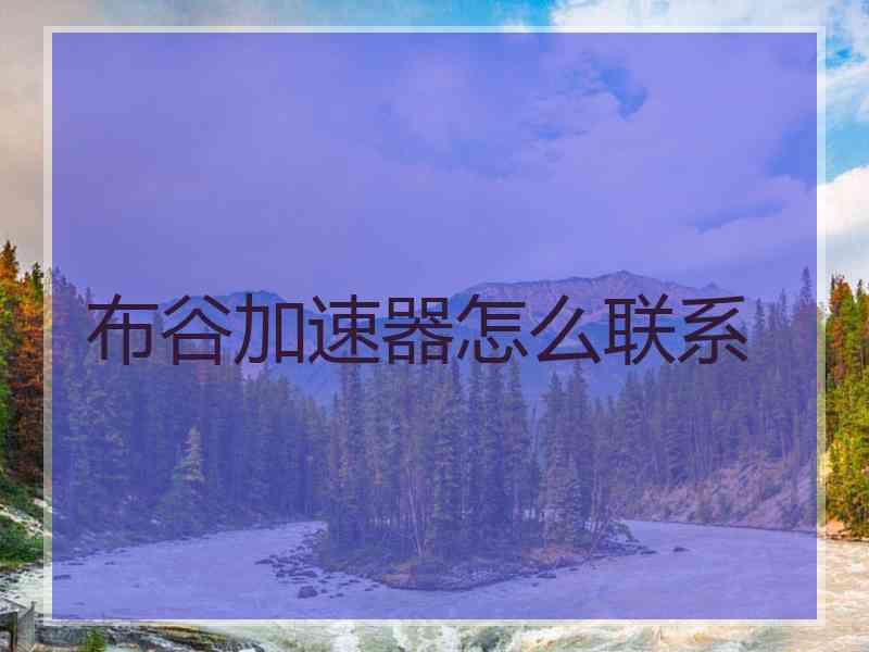 布谷加速器怎么联系