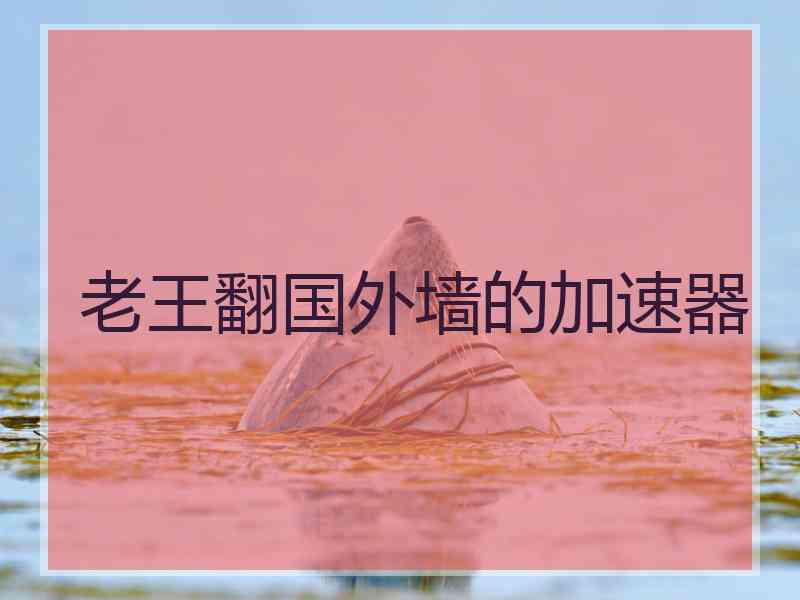 老王翻国外墙的加速器