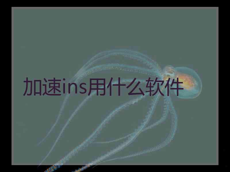 加速ins用什么软件