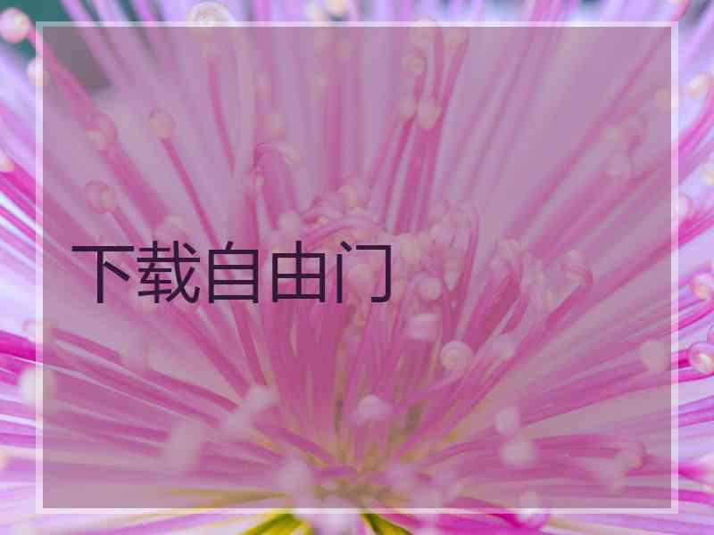 下载自由门