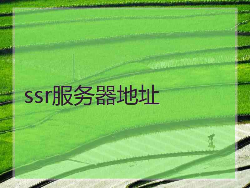 ssr服务器地址