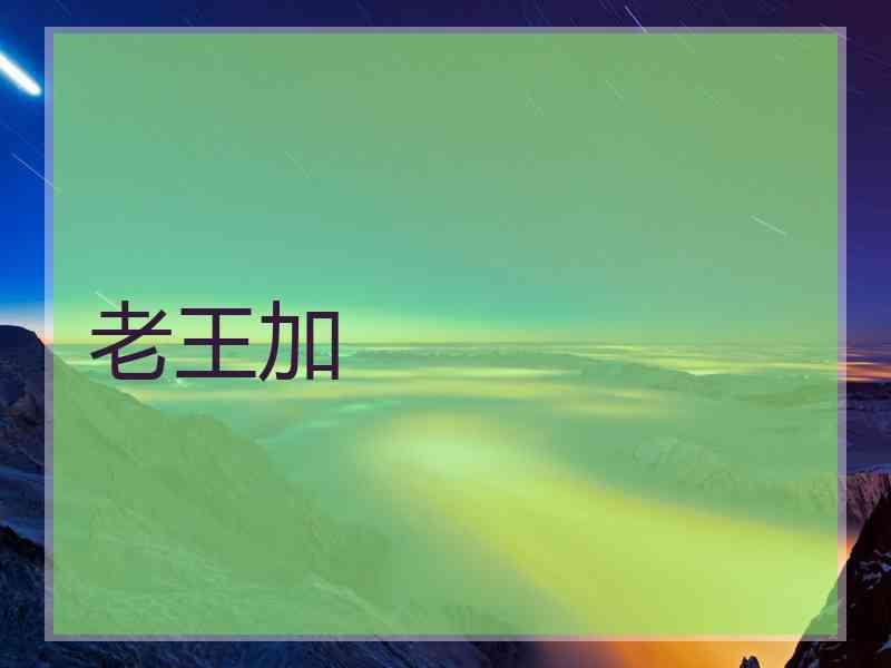 老王加
