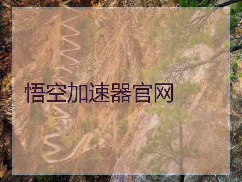 悟空加速器官网