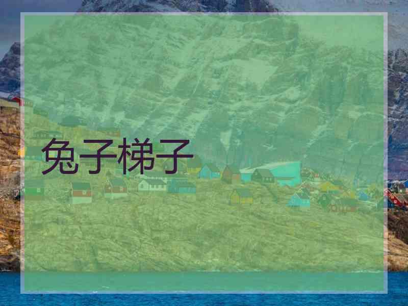 兔子梯子