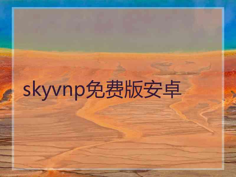 skyvnp免费版安卓