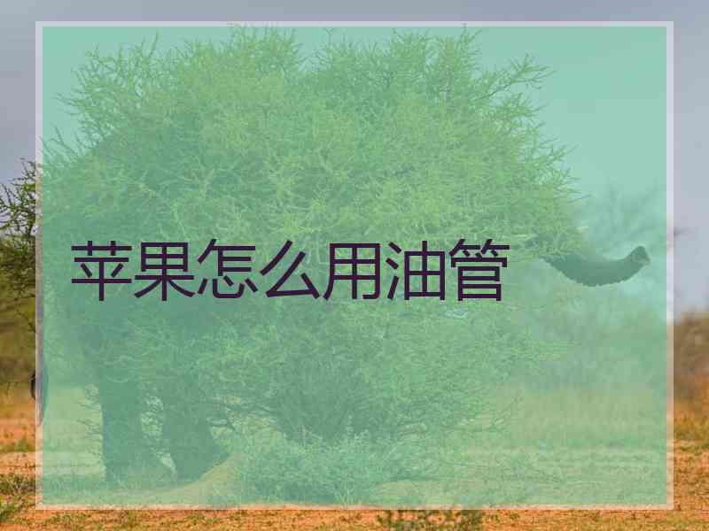 苹果怎么用油管