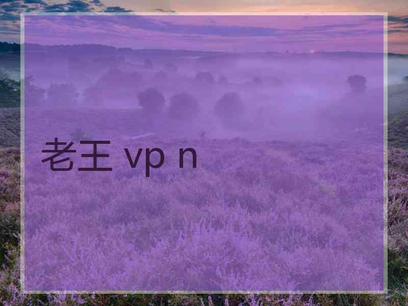 老王 vp n