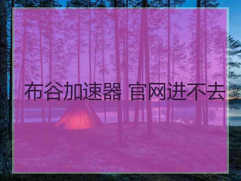 布谷加速器 官网进不去