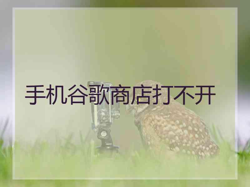 手机谷歌商店打不开
