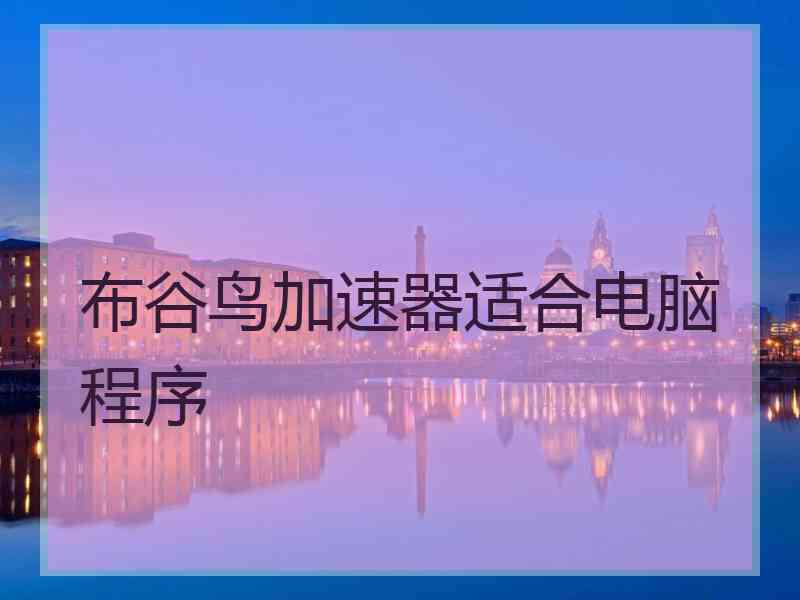 布谷鸟加速器适合电脑程序
