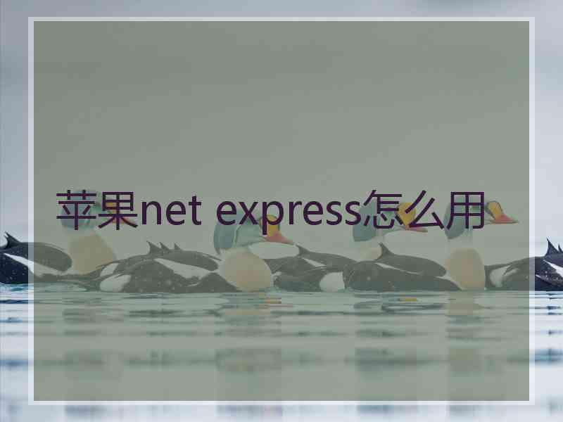 苹果net express怎么用