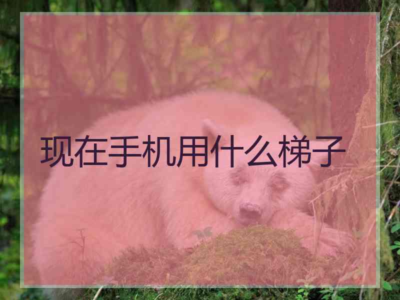 现在手机用什么梯子