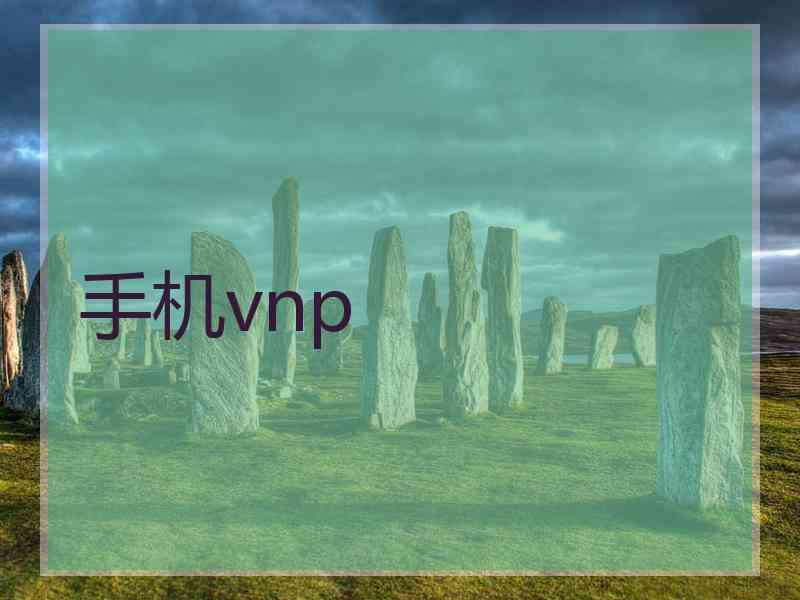 手机vnp