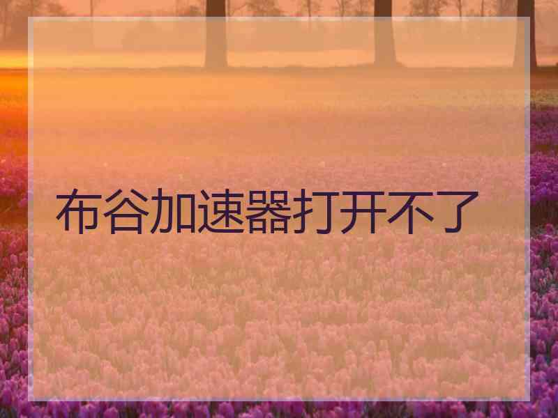 布谷加速器打开不了