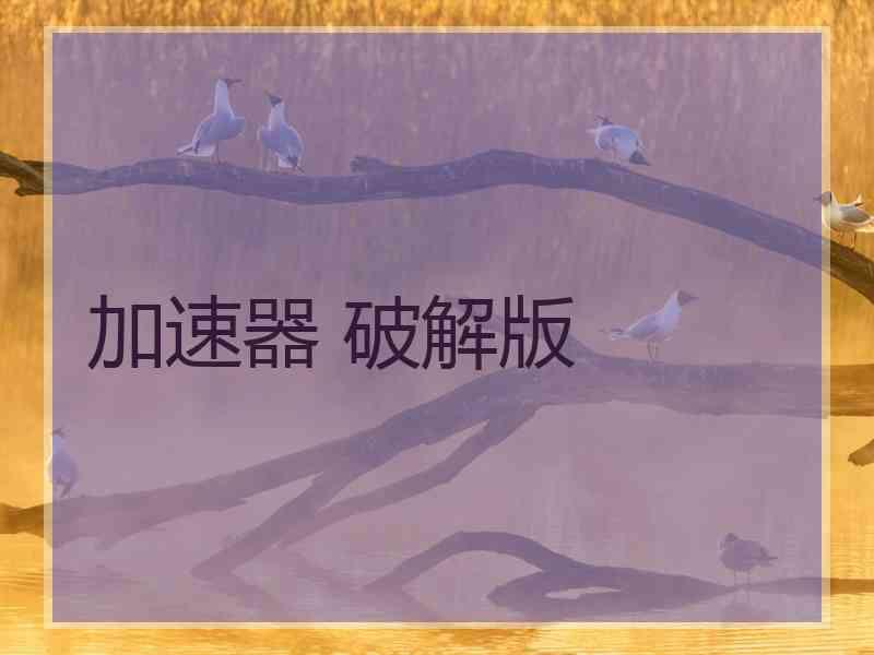 加速器 破解版