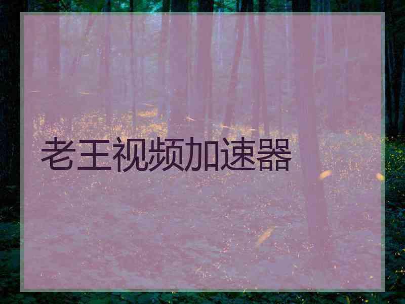 老王视频加速器