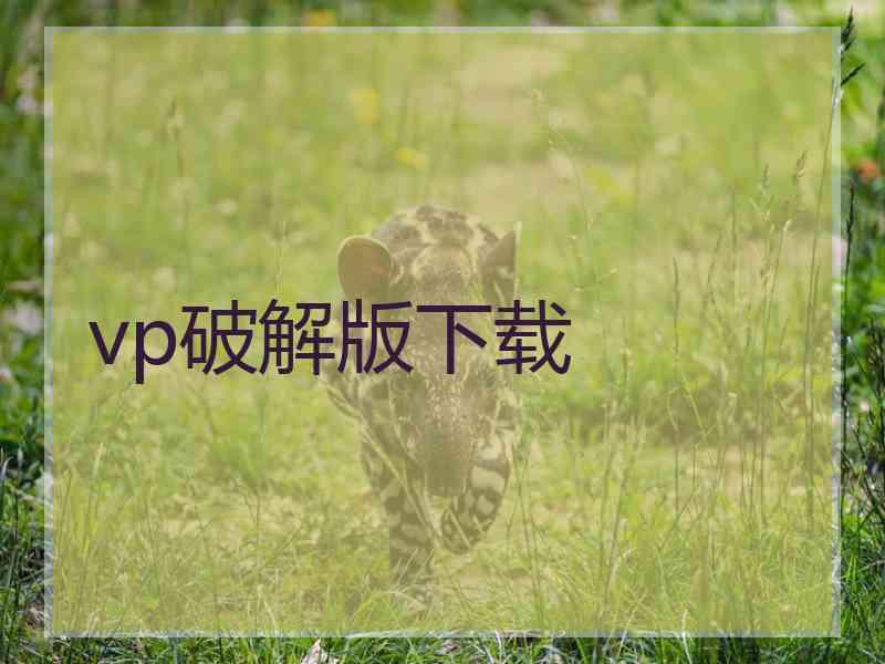 vp破解版下载
