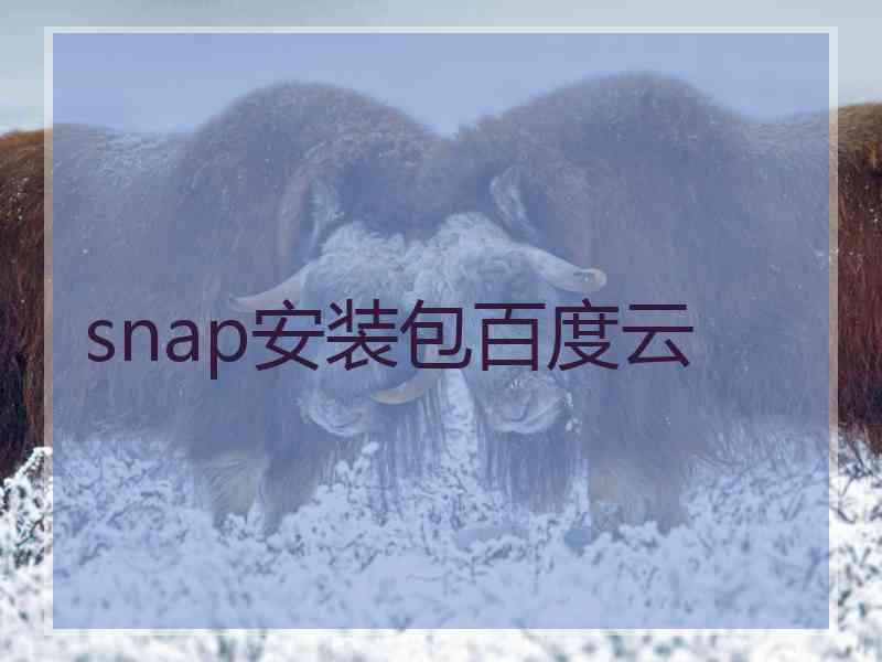 snap安装包百度云